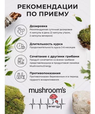 Mushrooms Energy Ezhovik creped mycelium 0.7 gr. Brain Power 1 - Buy Online on GoSupps.com