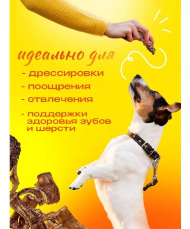 Hashtag A set of dogs for dogs 4V1 200 grams - Buy Online on GoSupps.com