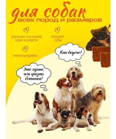 Hashtag A set of dogs for dogs 4V1 200 grams - Buy Online on GoSupps.com