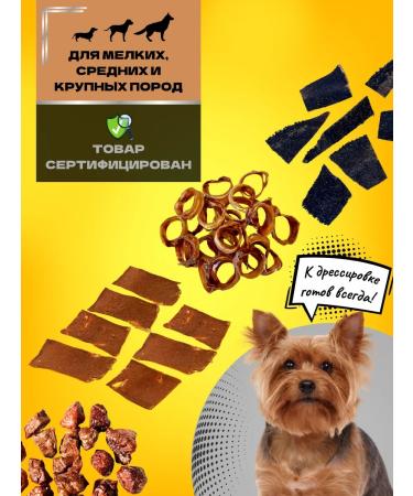 Hashtag A set of dogs for dogs 4V1 200 grams - Buy Online on GoSupps.com