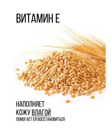 CleanAgent Dog shampoo hypoallergenic Salusculus 5 liters - Buy Online on GoSupps.com