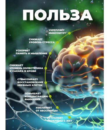 Welllife Cordyceps 100 capsules of 500 mg "Mycelium in rice" - Buy Online on GoSupps.com