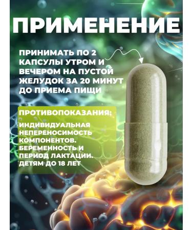 Welllife Cordyceps 100 capsules of 500 mg "Mycelium in rice" - Buy Online on GoSupps.com