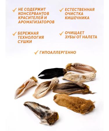 Meatlife Barani ears 100 grams of treats for dogs - Buy Online on GoSupps.com