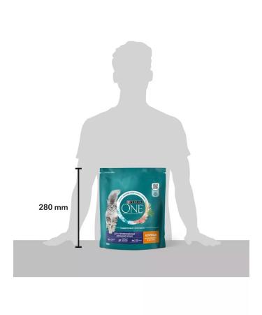 PURINA ONE Dry food of purin for sterilized cats chicken 750 grams - Buy Online on GoSupps.com