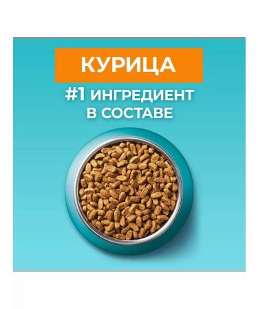 PURINA ONE Dry food of purin for sterilized cats chicken 750 grams - Buy Online on GoSupps.com