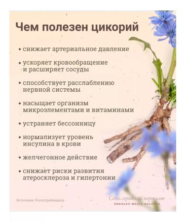 ZdravKo Chicory sublimated soluble with hawthorn 100g 2pcs - Buy Online on GoSupps.com