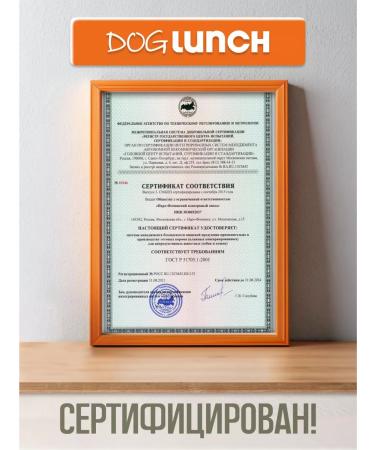 Dog Lunch Canned food for beef puppies in jelly 410g - Buy Online on GoSupps.com