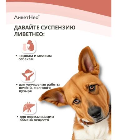 LIVETNEO For liver for cats and small dogs 50 ml - Buy Online on GoSupps.com