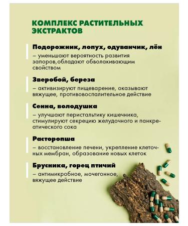 Art Life Toxfighter Lux sorption complex - Buy Online on GoSupps.com