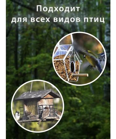 Rosagrozakaz Street bird food and pigeons grain mixture 6 kg - Buy Online on GoSupps.com