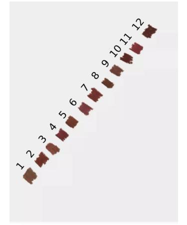 VIOLET Lip pencils - 12 pcs - Buy Online on GoSupps.com
