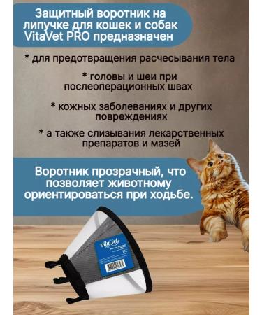VitaVet Veterinary protective veterinary collar for cats and dogs 20 cm (e) - Buy Online on GoSupps.com