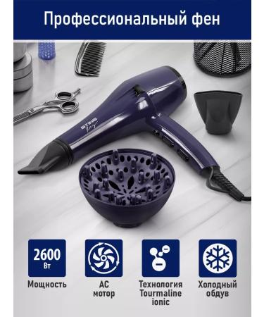 STINGRAY Feng for a professional hair with a diffuser 2600W