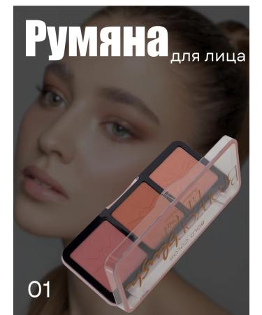 Petro cosmetics Facial sculptor blush dry bronzer set