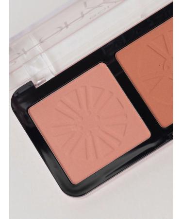 Petro cosmetics Facial sculptor blush dry bronzer set - Buy Online on GoSupps.com