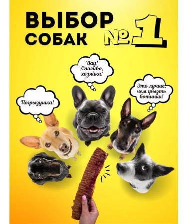 Hashtag Trachea of beef dried treat for dogs 400 grams - Buy Online on GoSupps.com