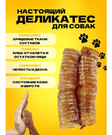 Hashtag Trachea of beef dried treat for dogs 400 grams - Buy Online on GoSupps.com