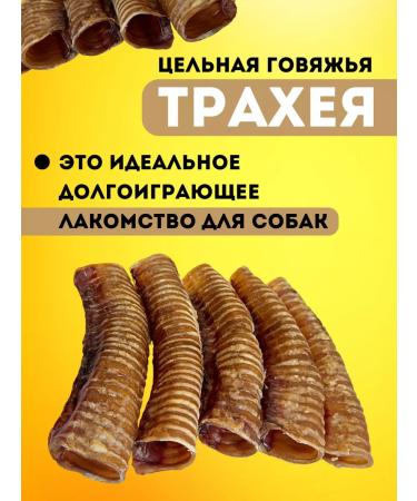 Hashtag Trachea of beef dried treat for dogs 400 grams - Buy Online on GoSupps.com