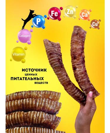 Hashtag Trachea of beef dried treat for dogs 400 grams - Buy Online on GoSupps.com