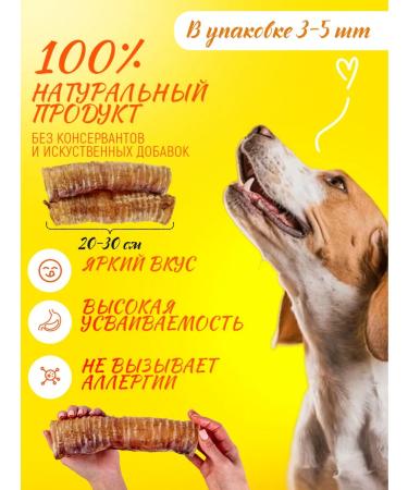Hashtag Trachea of beef dried treat for dogs 400 grams - Buy Online on GoSupps.com
