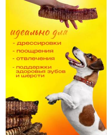 Hashtag Trachea of beef dried treat for dogs 400 grams - Buy Online on GoSupps.com