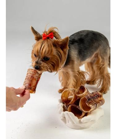 Hashtag Trachea of beef dried treat for dogs 200 grams - Buy Online on GoSupps.com