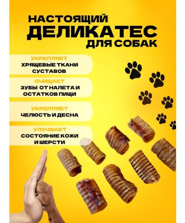 Hashtag Trachea of beef dried treat for dogs 200 grams - Buy Online on GoSupps.com