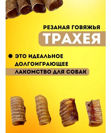 Hashtag Trachea of beef dried treat for dogs 200 grams - Buy Online on GoSupps.com