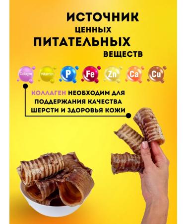 Hashtag Trachea of beef dried treat for dogs 200 grams - Buy Online on GoSupps.com