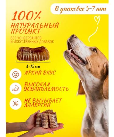 Hashtag Trachea of beef dried treat for dogs 200 grams - Buy Online on GoSupps.com