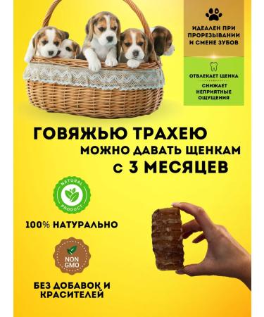 Hashtag Trachea of beef dried treat for dogs 200 grams - Buy Online on GoSupps.com