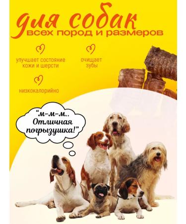 Hashtag Trachea of beef dried treat for dogs 200 grams - Buy Online on GoSupps.com