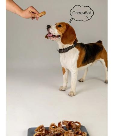 Hashtag Trache of beef ring a treat for dogs 150 gr - Buy Online on GoSupps.com