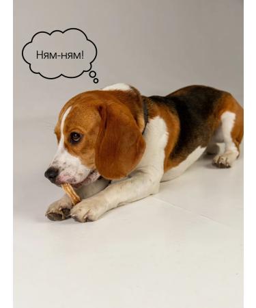 Hashtag Trache of beef ring a treat for dogs 150 gr - Buy Online on GoSupps.com