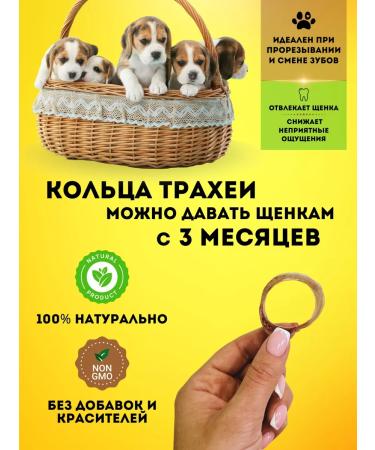 Hashtag Trache of beef ring a treat for dogs 150 gr - Buy Online on GoSupps.com