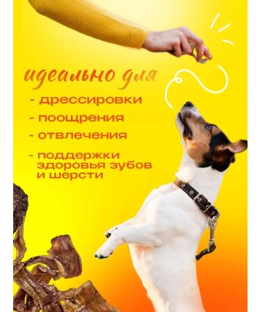 Hashtag Trache of beef ring a treat for dogs 150 gr - Buy Online on GoSupps.com