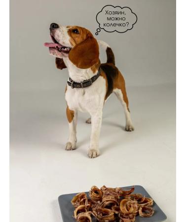 Hashtag Trache of beef ring a treat for dogs 300 gr. - Buy Online on GoSupps.com