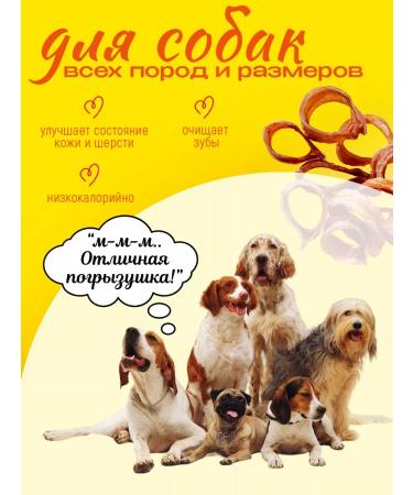 Hashtag Trache of beef ring a treat for dogs 300 gr. - Buy Online on GoSupps.com