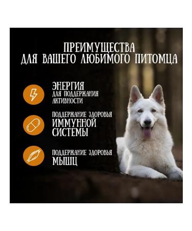 DogPet Feed and a treat for dogs with lung beef and salmon 3 kg - Buy Online on GoSupps.com