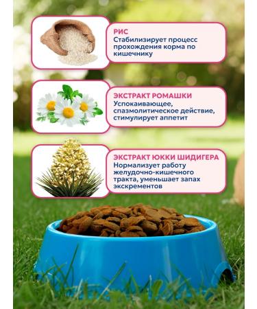 Pet's Brunch Dry food for dogs of medium breeds with a turkey 4 kg - Buy Online on GoSupps.com