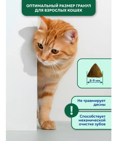 Pet's Brunch Dry food for cats woolly Hairball Remove 2kg - Buy Online on GoSupps.com