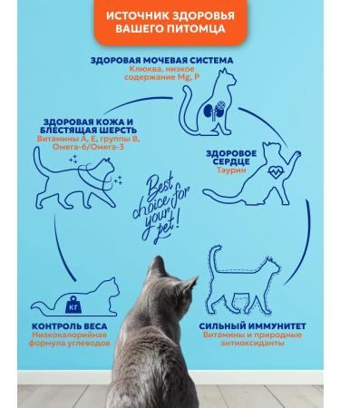 Pet's Brunch Dry food for sterilized cats with a liver of 2kg - Buy Online on GoSupps.com