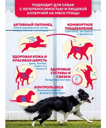 Pet's Brunch Dry food for dogs of medium rocks 11kg - Buy Online on GoSupps.com