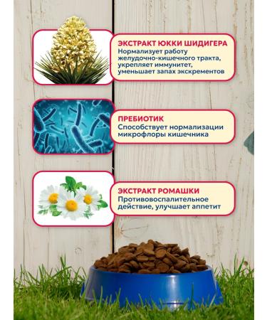 Pet's Brunch Dry food for dogs of medium rocks 11kg - Buy Online on GoSupps.com