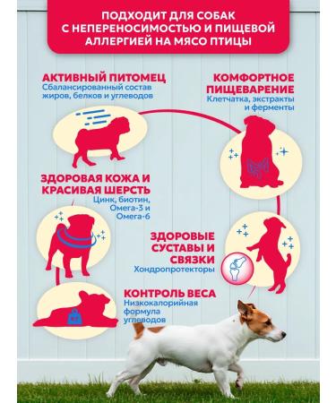 Pet's Brunch Dry feed for dogs of small breeds with a veal of 1 kg - Buy Online on GoSupps.com