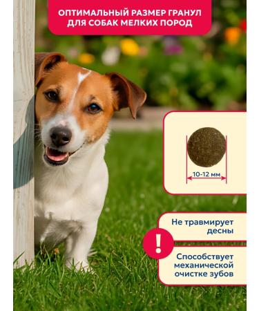 Pet's Brunch Dry feed for dogs of small breeds with a veal of 1 kg - Buy Online on GoSupps.com