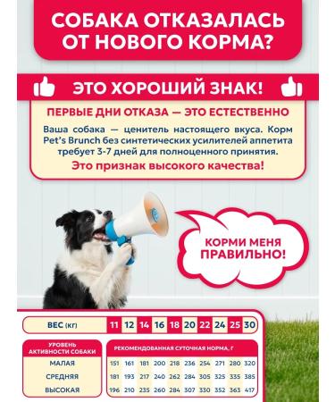 Pet's Brunch Dry food for dogs of medium rocks 4 kg - Buy Online on GoSupps.com