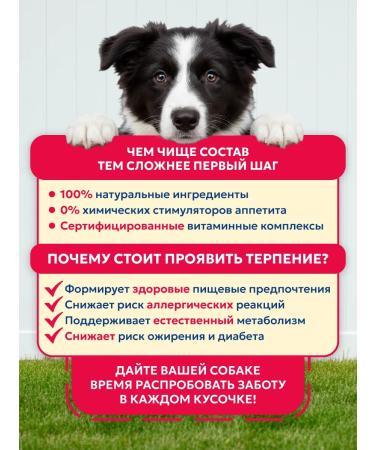 Pet's Brunch Dry food for dogs of medium rocks 4 kg - Buy Online on GoSupps.com