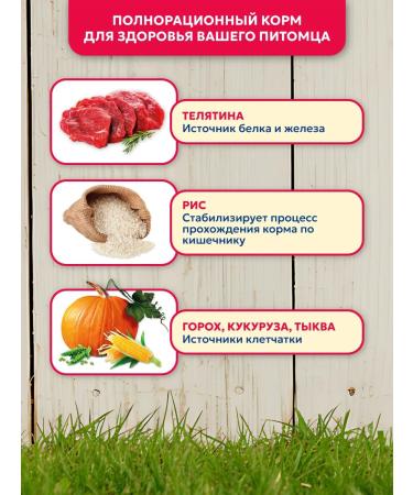 Pet's Brunch Dry food for adult dogs of large breeds with a veal of 4 kg - Buy Online on GoSupps.com